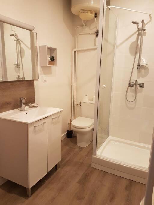 Agreable Appartement Lumineux Au Centre-Ville Oyonnax Exterior foto
